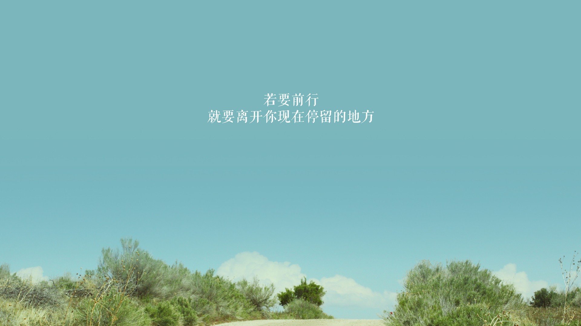 巴西马术协会推出马术运动员健康管理系统，关注运动员身心健康。