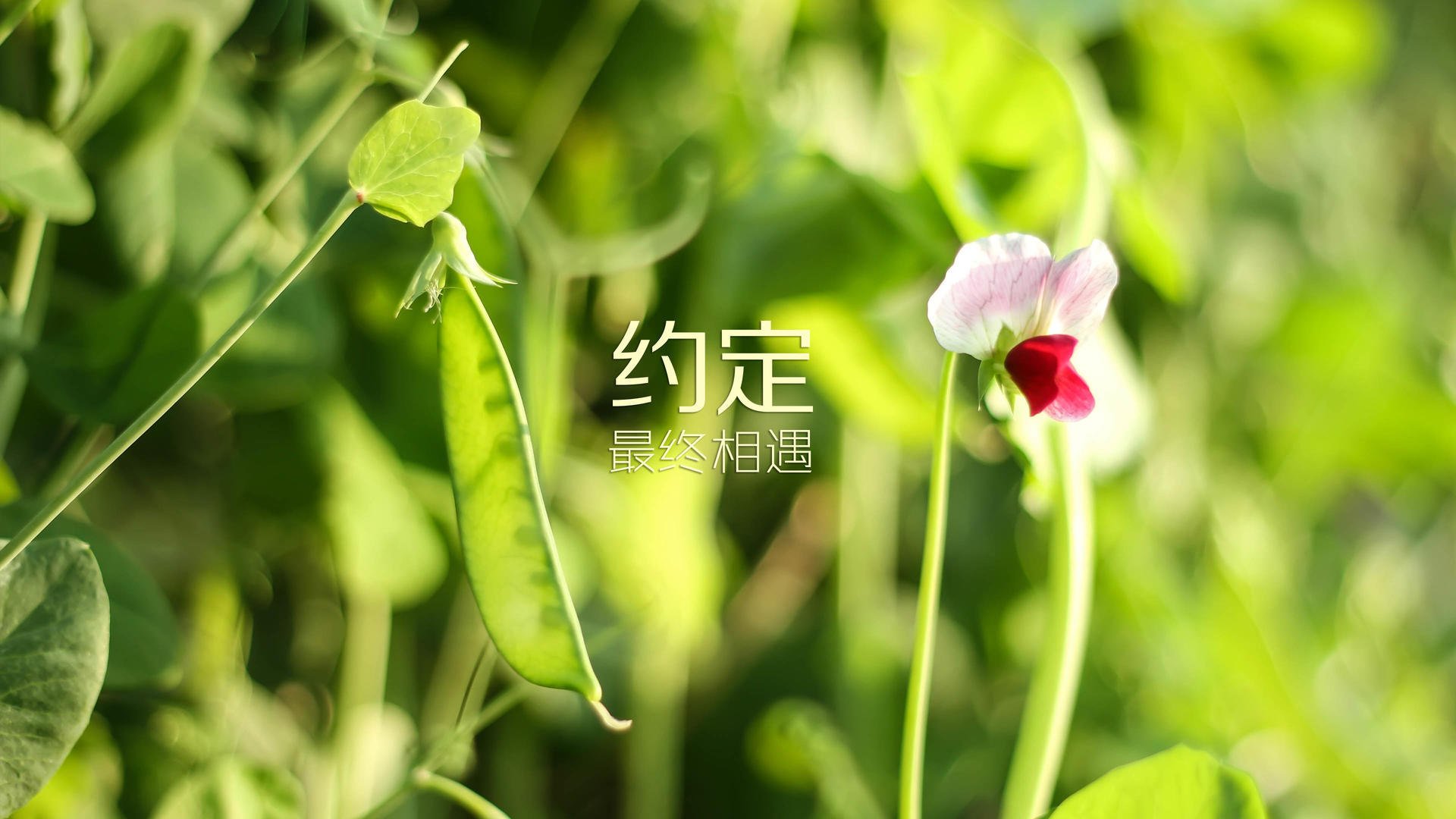 AYX GAME-摩洛哥队在巴黎奥运会男足比赛中以0-1不敌法国，摩洛哥足球队主力