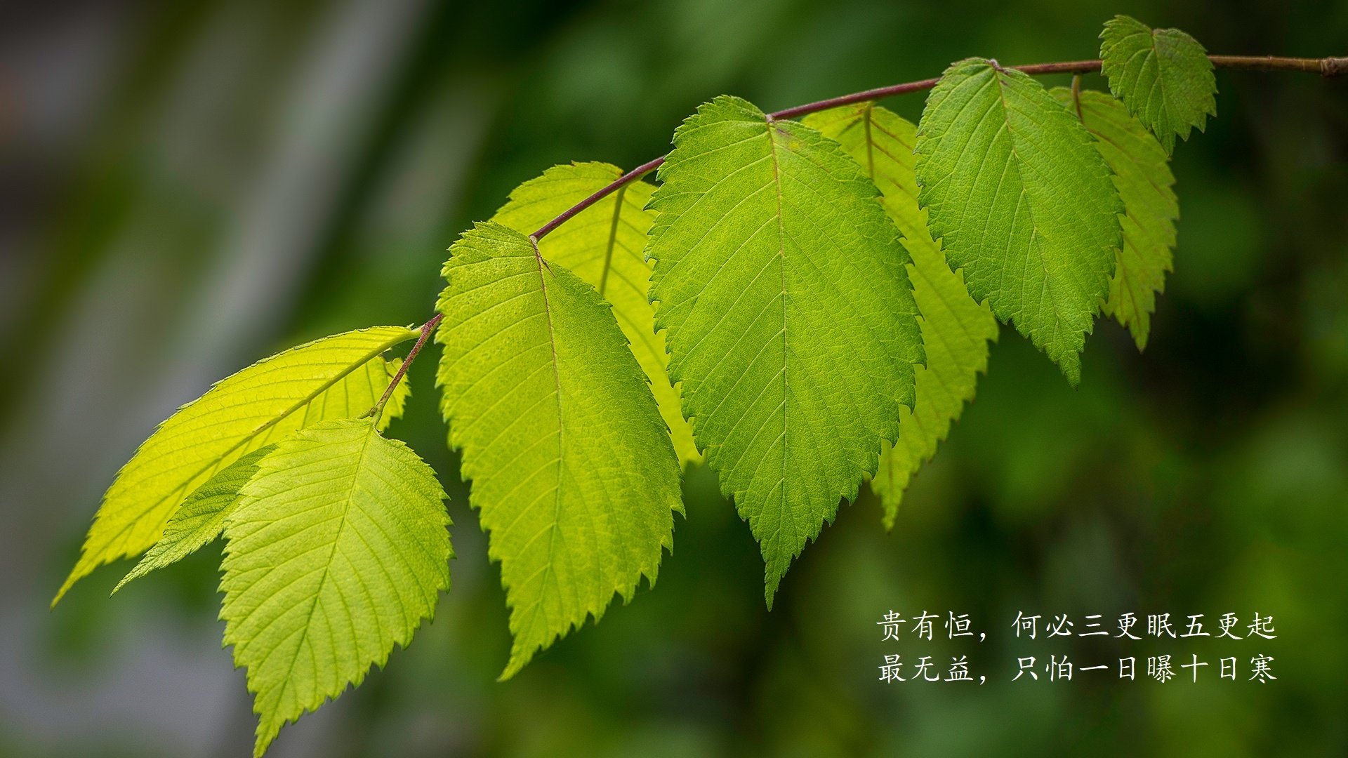 爱游戏官方-电竞城市成为年轻人就业新热点，电竞产业年龄