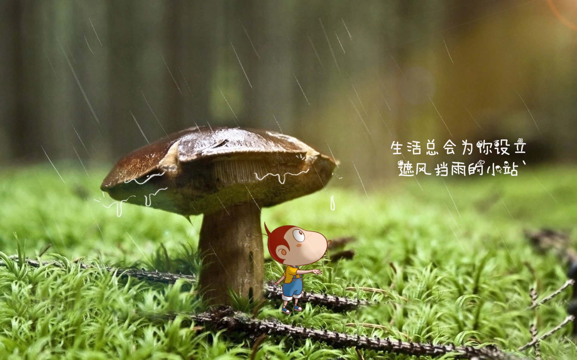 爱游戏平台-莱比锡球员状态火热，莱比锡换帅