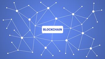 爱游戏体育官方网站-英超青训引入虚拟现实技术强化战术理解和实战演练，英超青训最好的球队