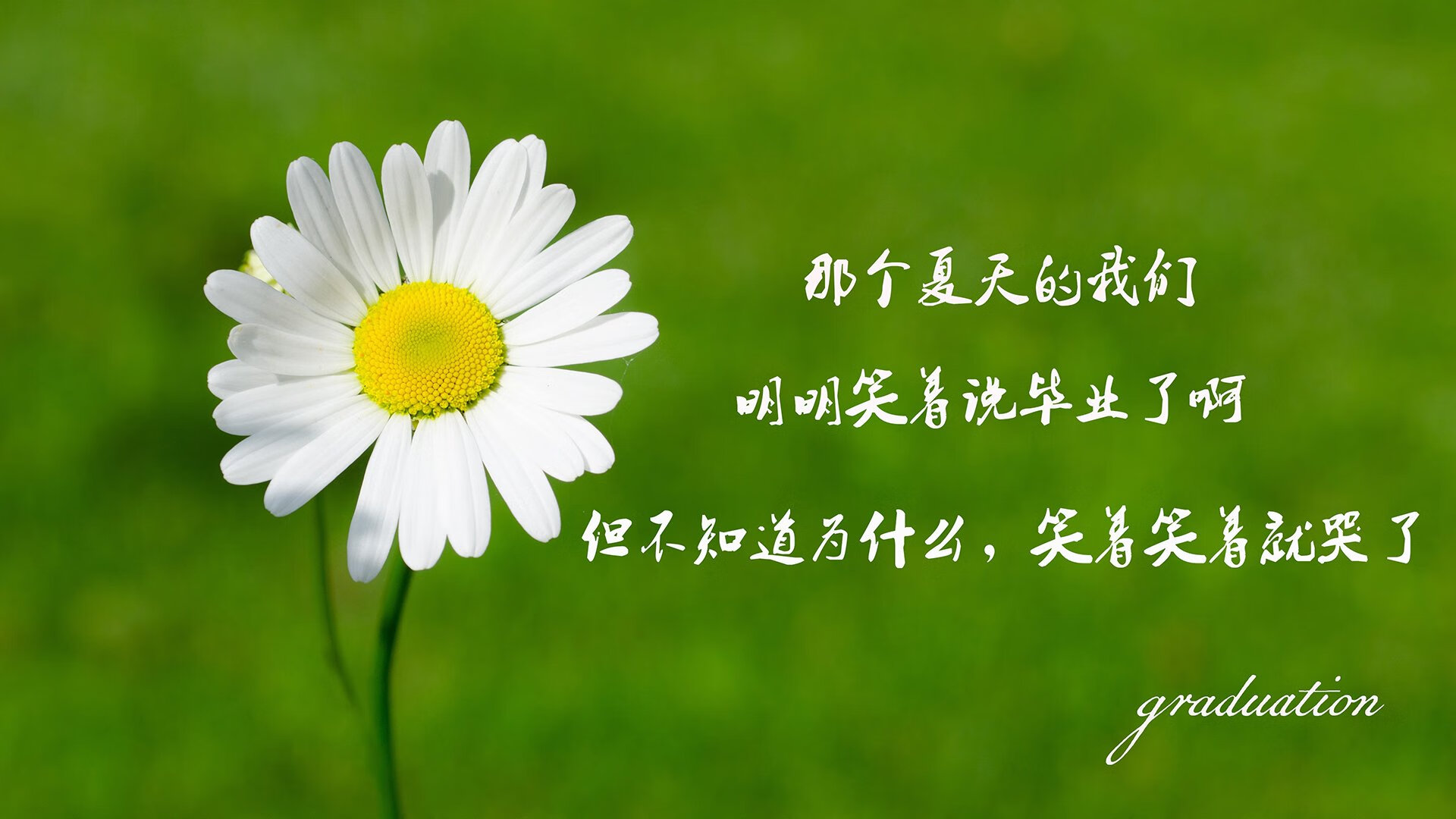 乌拉圭男篮在世界篮球锦标赛中表现出色，期待突破